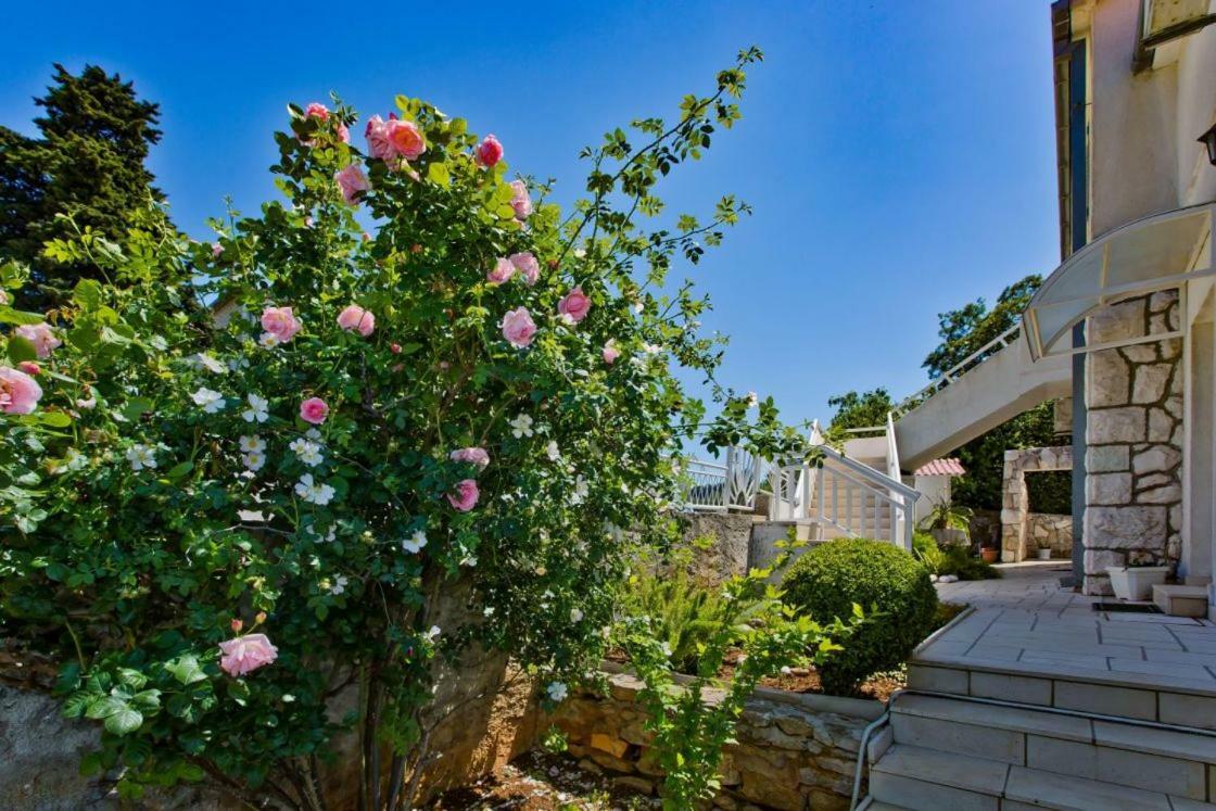 חוואר Apartments Jacky מראה חיצוני תמונה